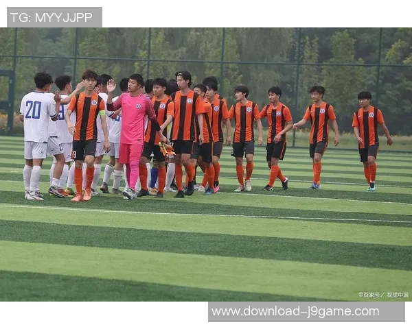 男人打足球的激情与团队精神在绿茵场上的完美展现与碰撞